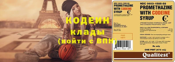 мдпв Бородино