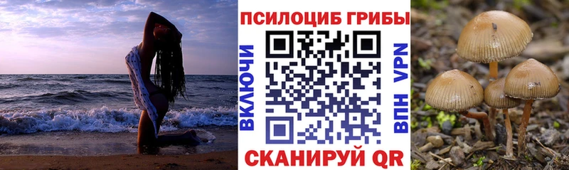 Галлюциногенные грибы мицелий  закладки  Котлас 